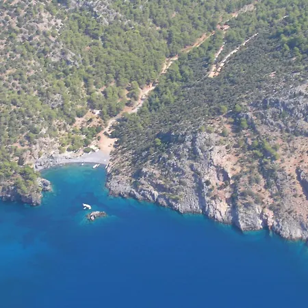 Tia * オルタジャ